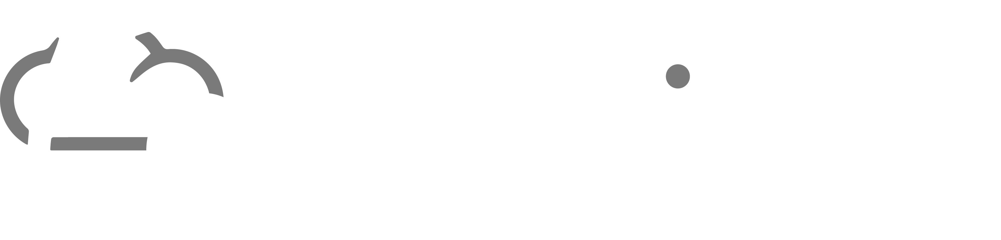 Delphisoft Deutschland B&W Logo