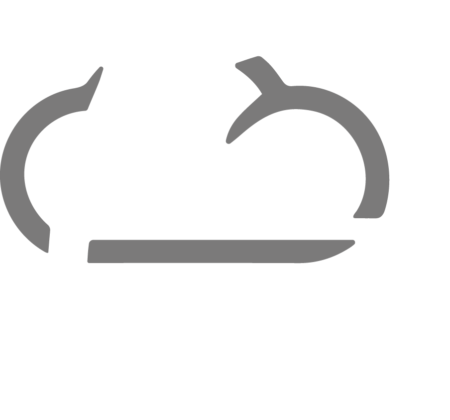 Delphisoft Deutschland Logo